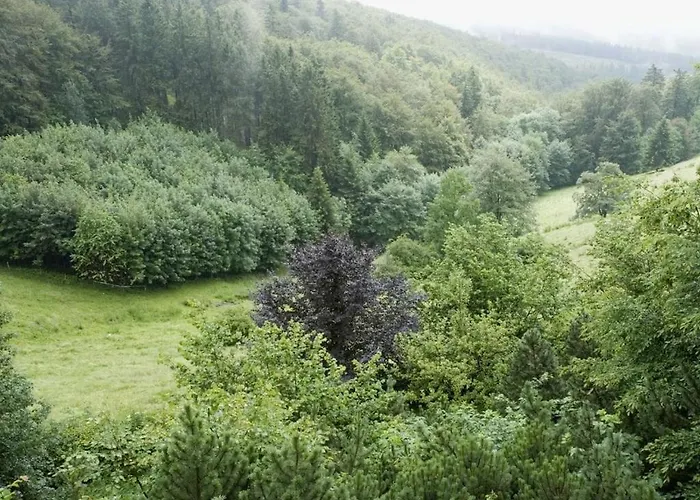 In With Barbecue Feriehus